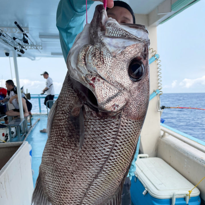 A person holding a snapper, by a hook in its mouth. In the background, there are several people on a boat, along with fishing gear and a cooler. The setting is outdoors, with a clear sky visible through the boat's windows.