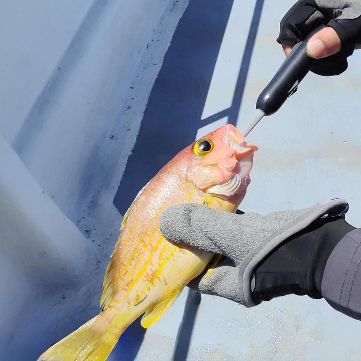 A hand holds a Kanama smart bait and puts it into the fish's mouth.