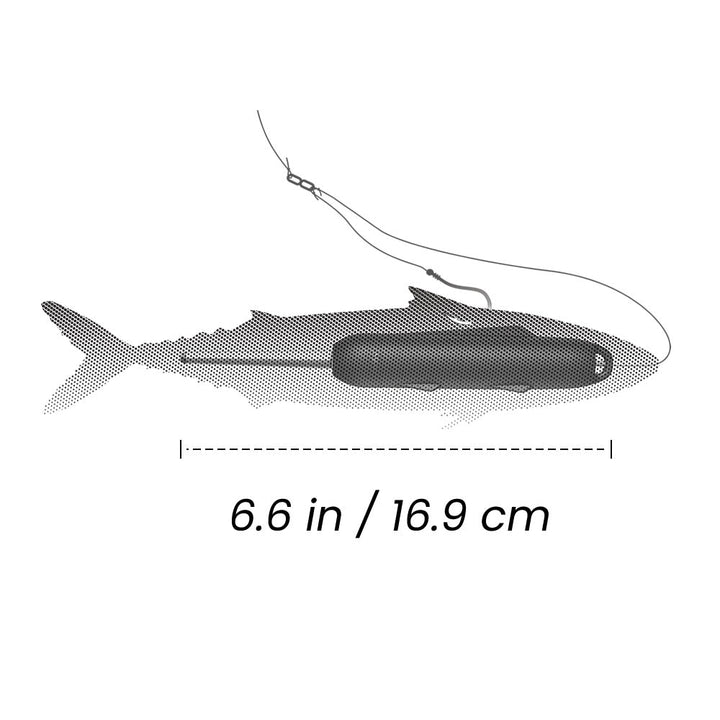 The tail of the Kanama Smart Bait is attached to a fishing line and stuffed into the fish's belly. The hook is pierced through the fish's back. There is a measurement value below, indicating that the length of the life bait is "6.6 inches/16 cm"