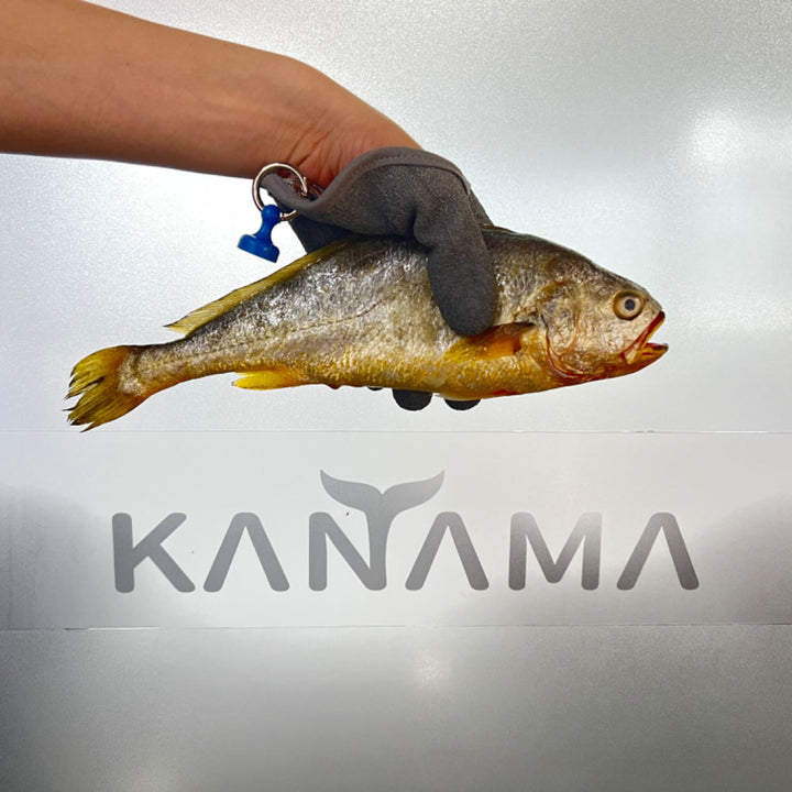 A person holding a fish with a gray glove. The glove features a blue attachment, and the fish is being held by its tail. In the background, there is a reflective surface with the word "KANAMA" displayed prominently.