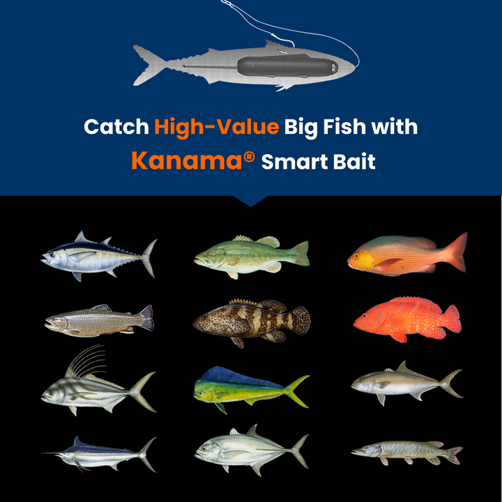 The image features a promotional graphic for "Kanama® Smart Bait." At the top, there is a message stating "Catch High-Value Big Fish with Kanama® Smart Bait," with the product depicted above the text. Below, there are illustrations of various fish species, arranged in two rows. 