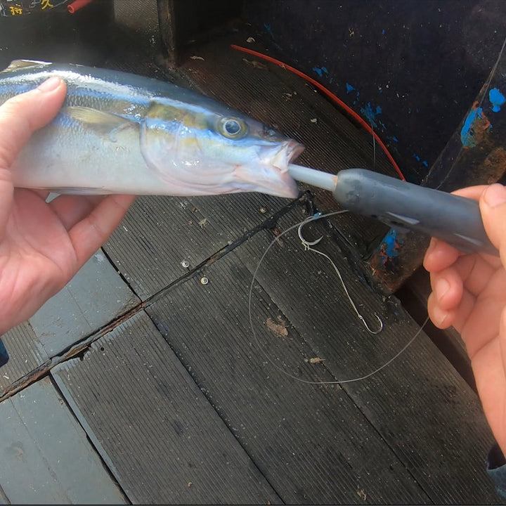 A person holds a fish in his left hand and stuffs Kanama Smart Bait into the fish's belly with his right hand. The background is a wooden surface.