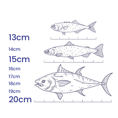 13-20CM / 5in-8in Size Bait Fish